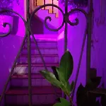 Erva Cidreira Guest House Barra Hostel